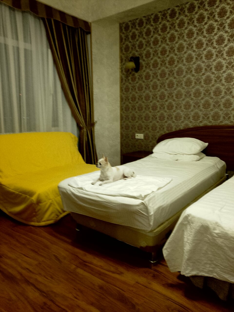 Гостиница Евразия Анапа-205