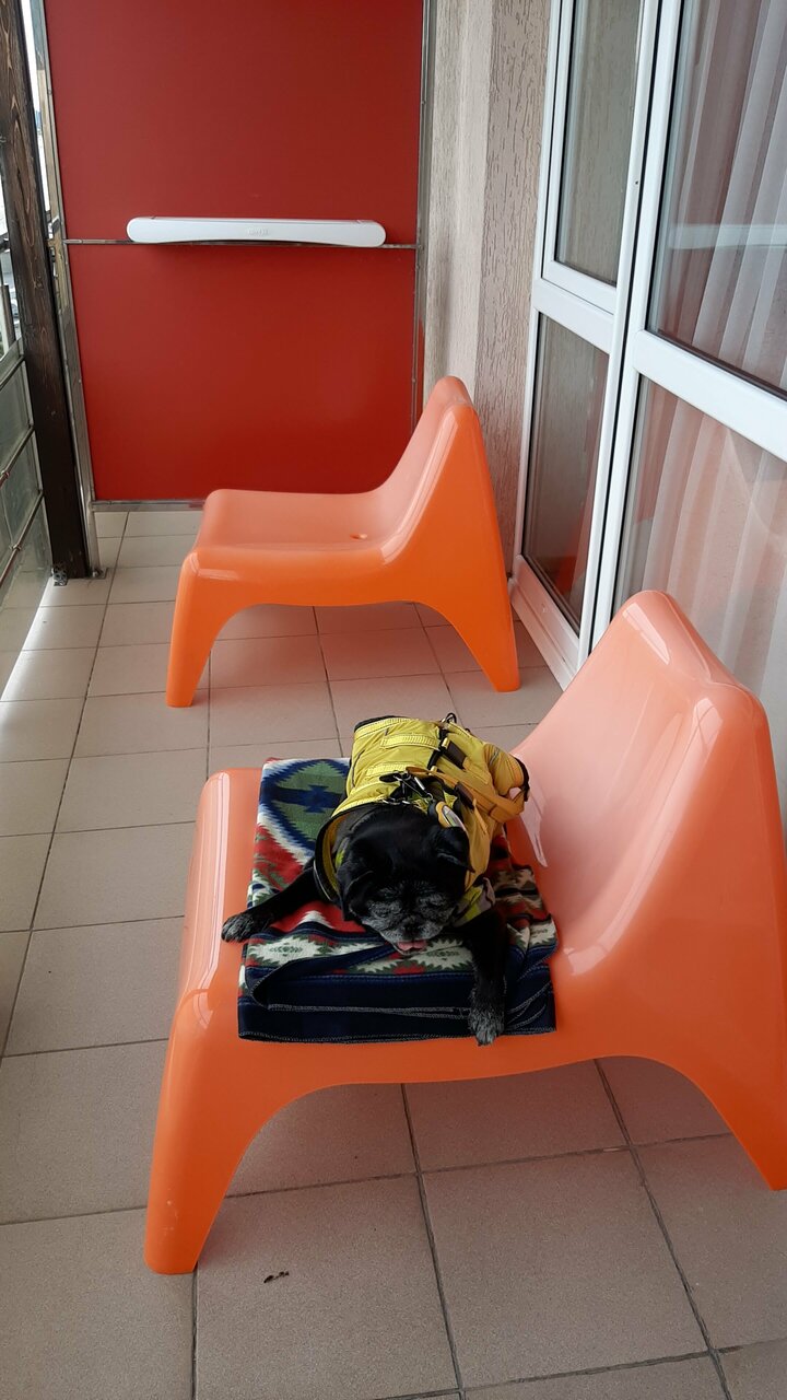 Гостиница Евразия Анапа-187