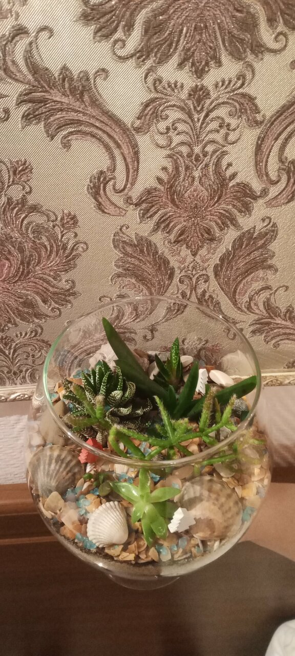 Гостиница Евразия Анапа-178