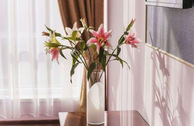 Гостиница Евразия Анапа-42