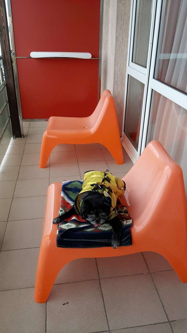 Гостиница Евразия Анапа-186