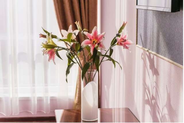 Гостиница Евразия Анапа-88