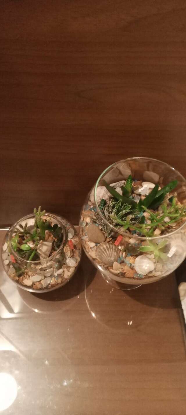 Гостиница Евразия Анапа-215