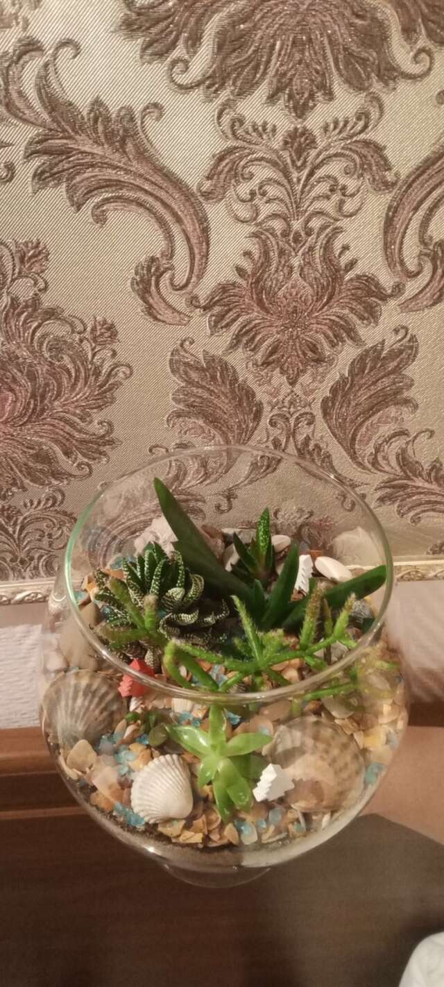 Гостиница Евразия Анапа-177